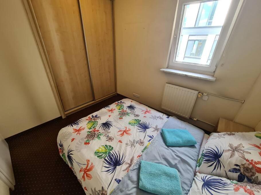 10q - Z6 405 Appartement